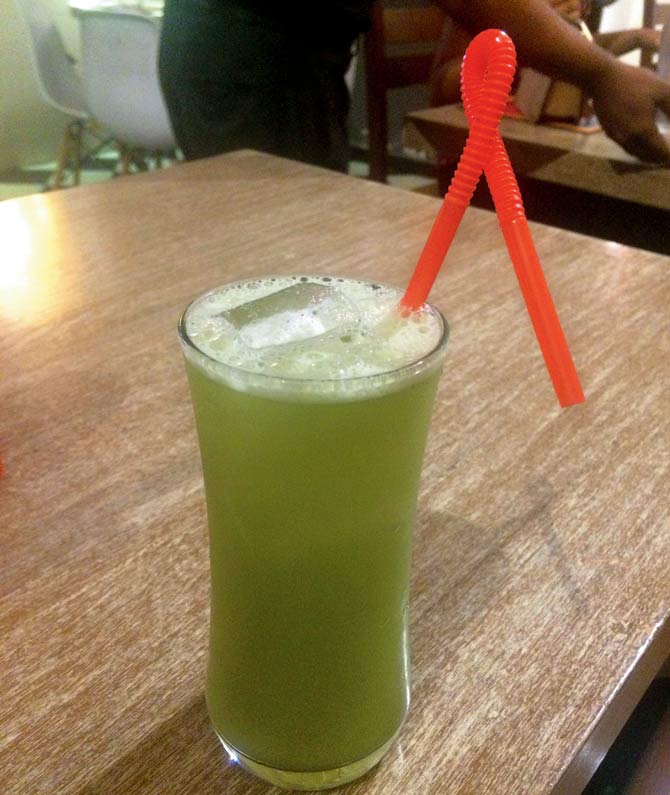 Lemon grass hopper