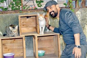 Mumbai: Pet peeves no more in Versova's animal-loving society