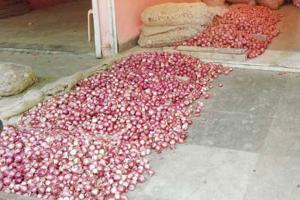 Farmer gets Rs 1,064 for 750 kg of onions, sends it to PM as protest