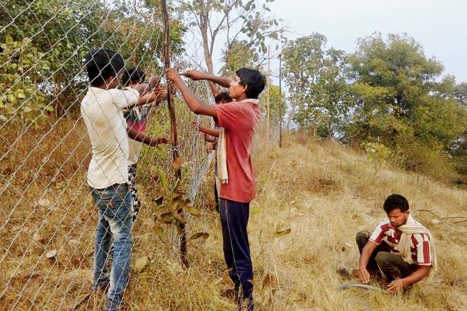 A six-feet high fence has been erected on a majority of the portion of the 54-hectares and a four to five feet-high fence will be erected over it