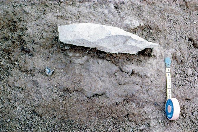 An Acheulean stone tool