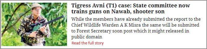 Tigress Avni (T1) Case: State Committee Now Trains Guns On Nawab, Shooter Son