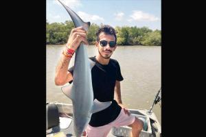 Yuzvendra Chahal spins his web to catch a fish