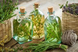 Essential oils from herbs may help treat Lyme disease
