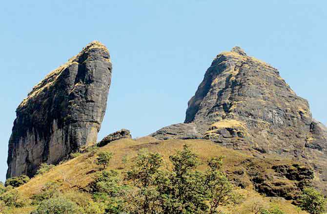Sign up for a thrilling trek
