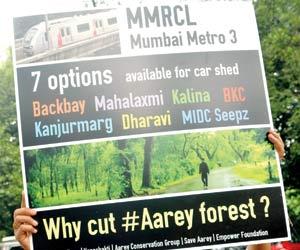 Mumbai: BMC chief overrides NGT stay, authorises chopping of 23 trees for Metro