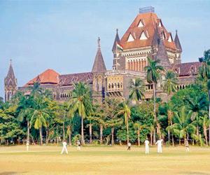 Bombay HC clears way for three-year-old girl's adoption