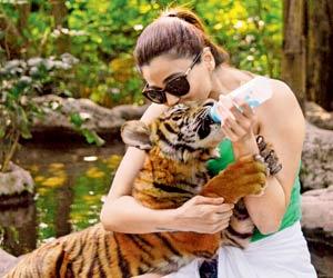 Race 3 girl Daisy Shah spends a day at the Bangkok zoo