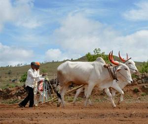 Tamil Nadu farmers stage protest, demand Cauvery water