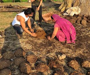 Harshvardhan Rane feeds cattles, makes cow dung cakes for Paltan, see photos