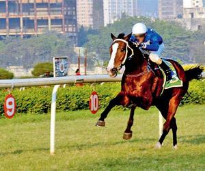 Glanders disease: Delhi Golf Course asked to postpone/cancel Derby