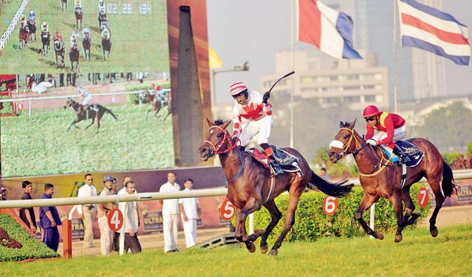 Jockey CS Jodha guides Rochester to victory during the Indian Derby at Mahalaxmi race course yesterday
