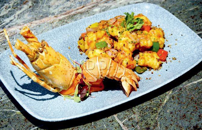 Medallion lobster in Singapore Laksa sauce