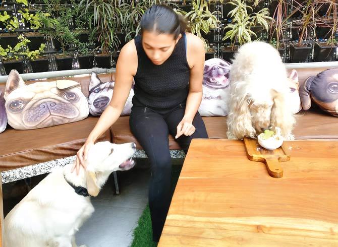 Nikhila Palat pets another guest at the cafe, as Muffin enjoys her meal