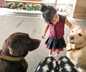 Ravichandran Ashwin's daughter Akhira plays with her dog