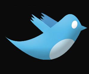 Twitter Q4 revenue up, user base at 330 mn