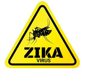 Scientists identify genetic origin in Zika virus