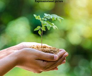 Over five lakh to be trained by environment ministry with 'green skills'