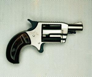 Ex-MLA arrested with illegal pistol in Uttar Pradesh