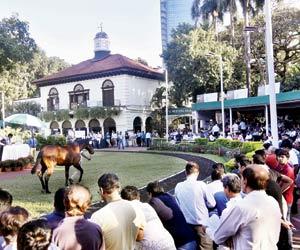 Mumbai: Slow going under the hammer in first half of auction at Mahalaxmi