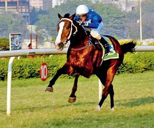 Anacapri may shock Class I field in Daga Trophy