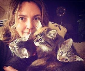 Drew Barrymore adopts three kittens