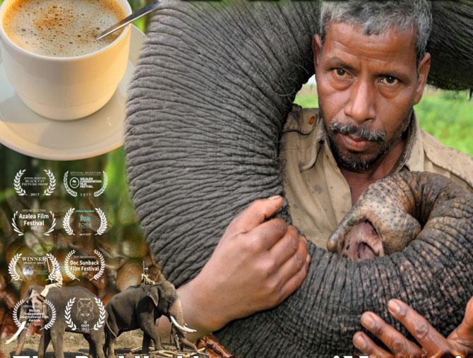 Elephants in the Coffee to be screened at BNHS