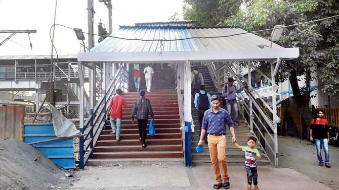 Elphinstone stampede