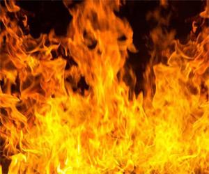 Two killed, scores of shops gutted in West Bengal fire