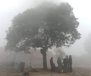 Delhi records minimum temp of 8.4 degrees C; fog hits flight, train schedule