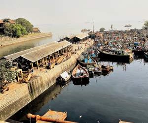 Mumbai for kids: Why you should take your child to Sassoon Docks