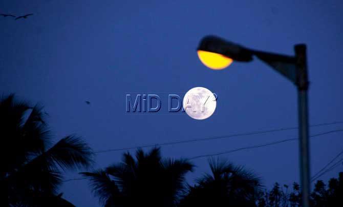 A supermoon is a full moon that appears 14 per cent bigger and 30 per cent brighter. Pic/Sneha Kharabe