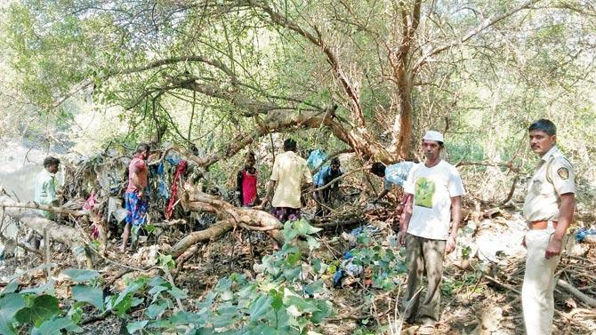 Thirty workers clear 2-3 tonnes of litter from Dahisar and Gorai mangroves daily