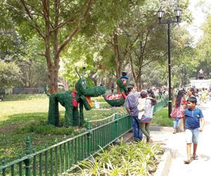 Go on a nature and heritage walk in Byculla this weekend