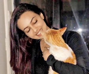 Wajah Tum Ho actress Sana Khan adopts stray cat
