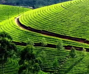 Top 7 travel destinations you must explore during 2018's long weekends