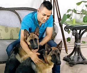Chill with canines: MS Dhoni spends some relaxing time with dogs at the office