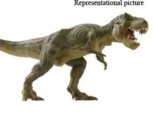 New dinosaur species found in Egypt