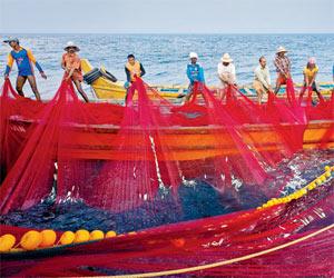 Sri Lankan Navy arrests 16 Indian fishermen