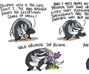 Green Humour: Comic Strip By Rohan Chakravarty