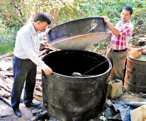 Mumbai: 204 illegal breweries came up in SGNP between 2007-2017