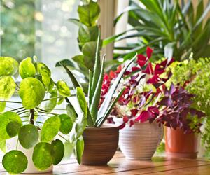 Simple hacks to cool your home naturally during summer