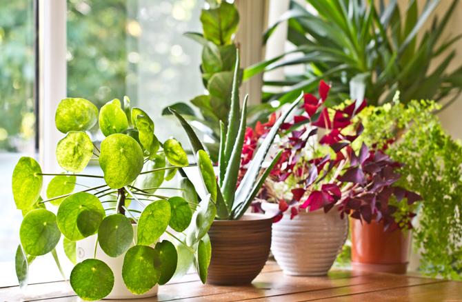 How to keep your home cool naturally?