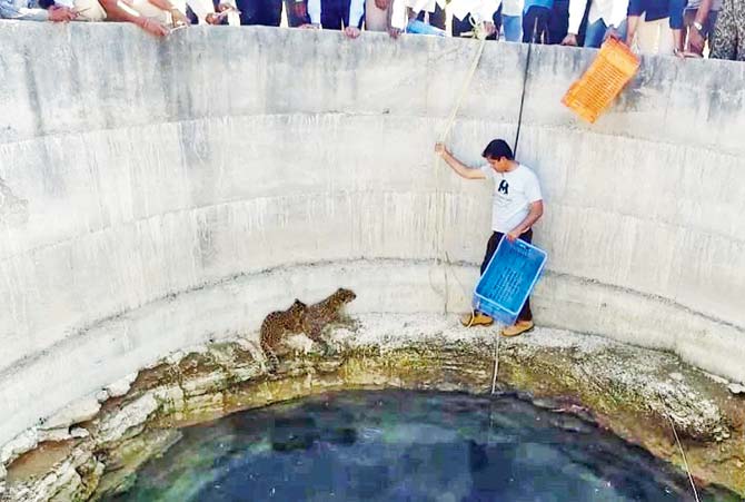 Dr Deshmukh climbed down the well
