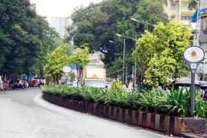 Mumbai: BMC won't fill gaping potholes, but wants to fix unbroken medians