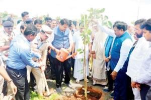 Devendra Fadnavis, ministers water plants using a plastic pot at an event