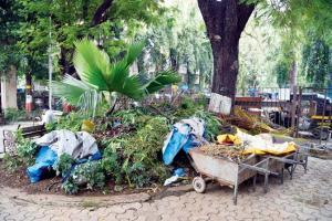 mid-day garden audit: It's time for Mumbai to save its parks