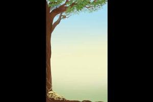 When nature is the inspiration