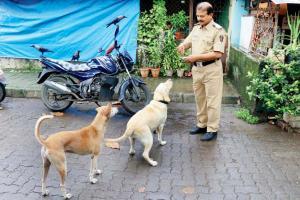 Mumbai: Meet the head constable who's a stray's best friend