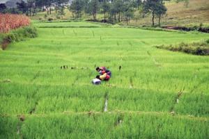 MSP hike an eyewash, Centre's claim misleading, say Agriculture experts